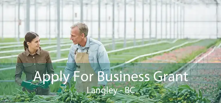 Apply For Business Grant Langley - BC